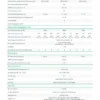 Wechselrichter-Inverter-Hoymiles-2000-Watt-Datenblatt.webp